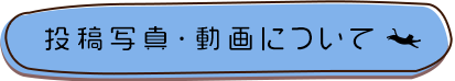 サンプル動画リンク