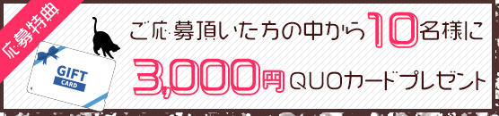 キャンペーンバナー